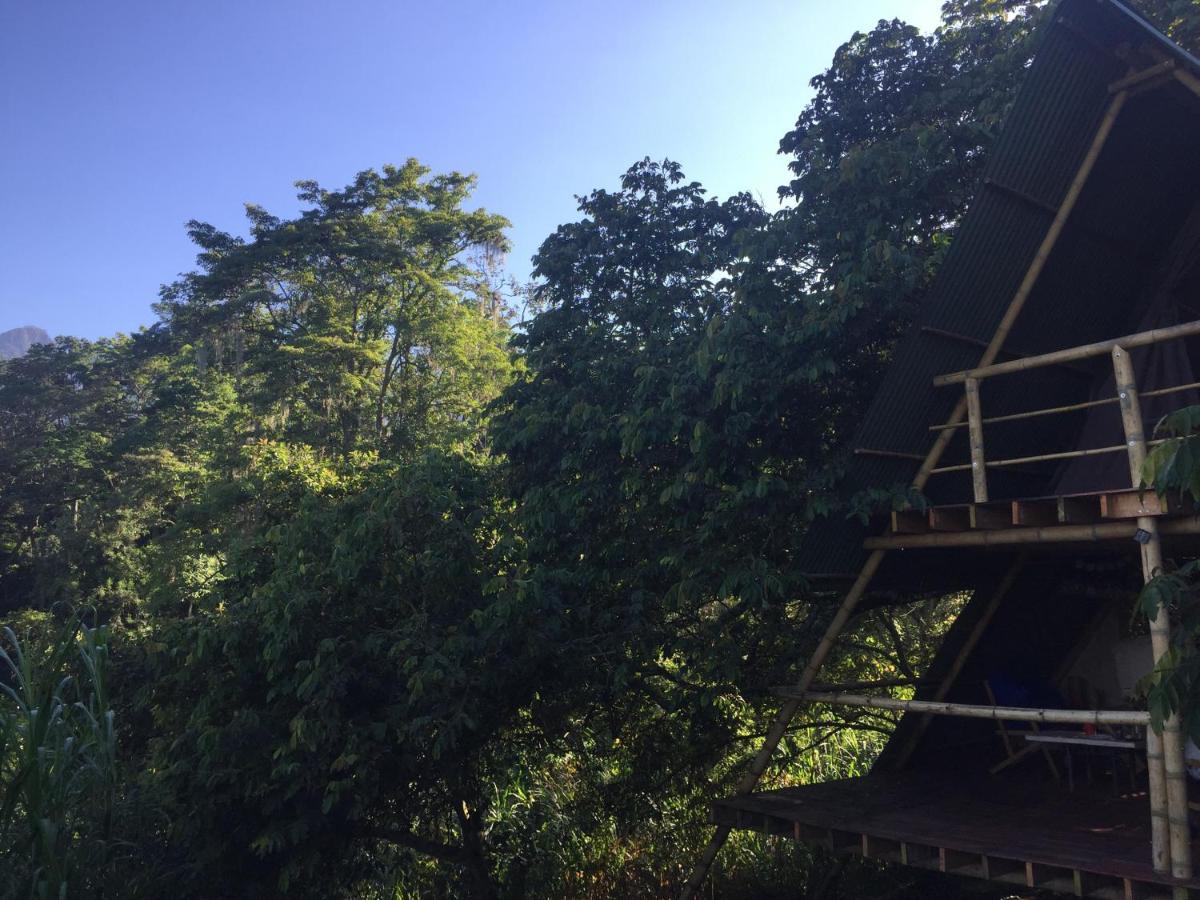 Glamping El Arbol En La Casa Villa San Antonio del Tequendama Bagian luar foto