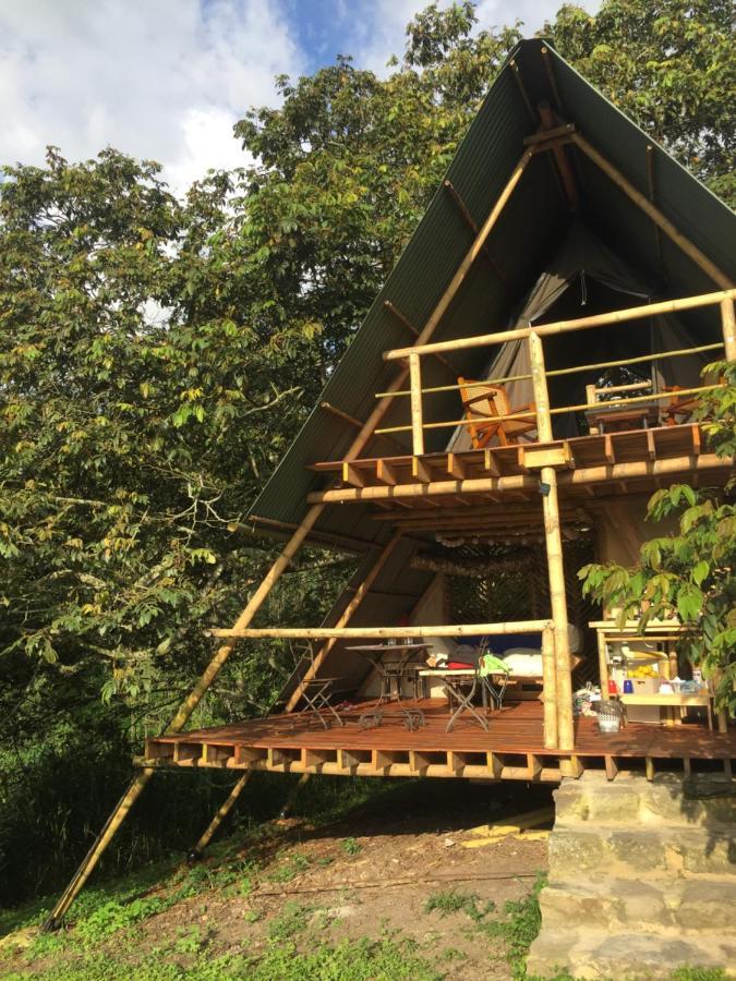 Glamping El Arbol En La Casa Villa San Antonio del Tequendama Bagian luar foto