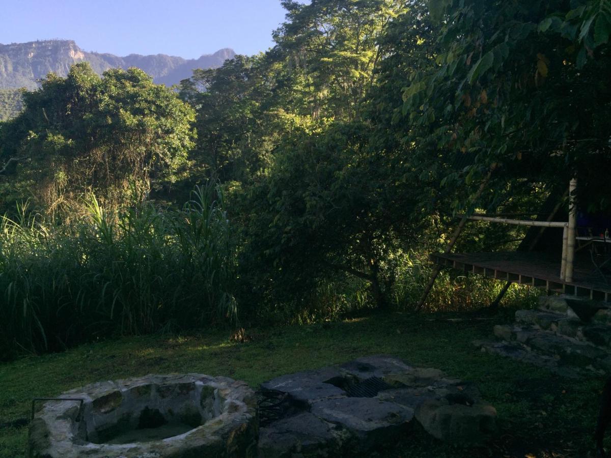 Glamping El Arbol En La Casa Villa San Antonio del Tequendama Bagian luar foto