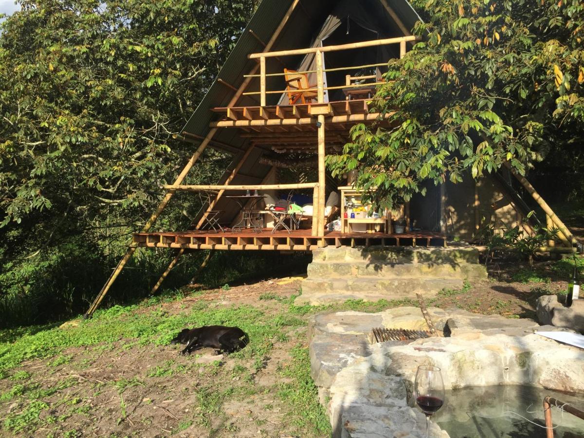 Glamping El Arbol En La Casa Villa San Antonio del Tequendama Bagian luar foto