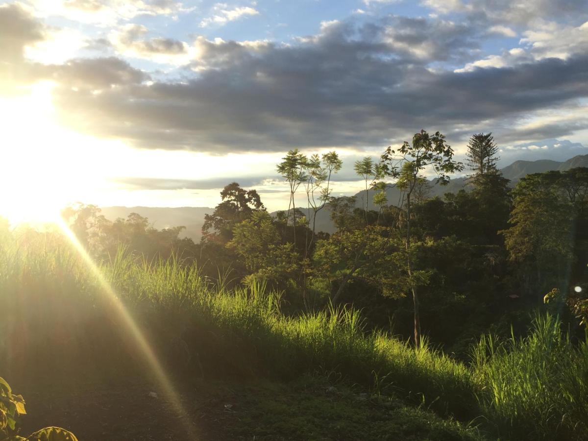 Glamping El Arbol En La Casa Villa San Antonio del Tequendama Bagian luar foto