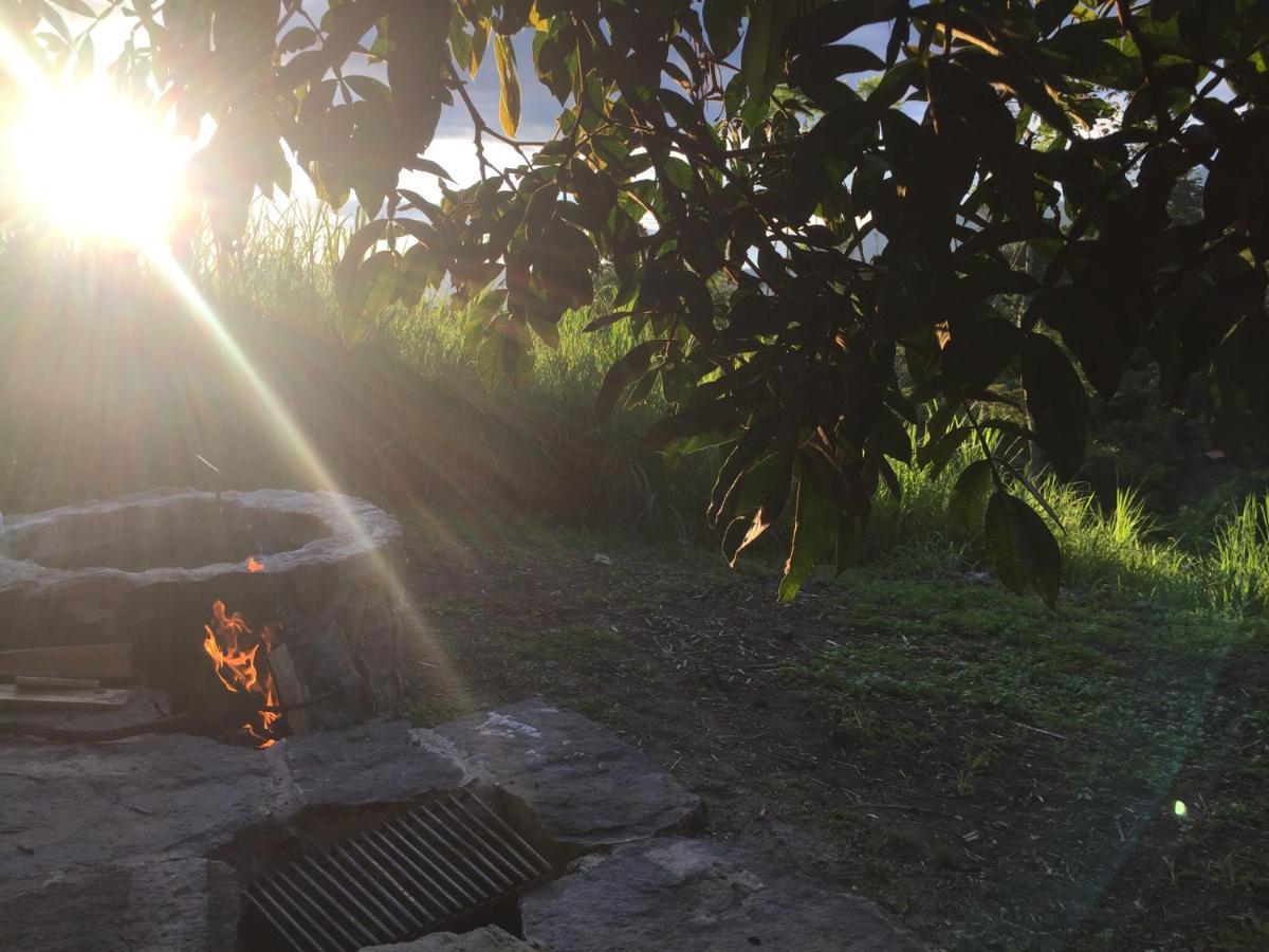 Glamping El Arbol En La Casa Villa San Antonio del Tequendama Bagian luar foto