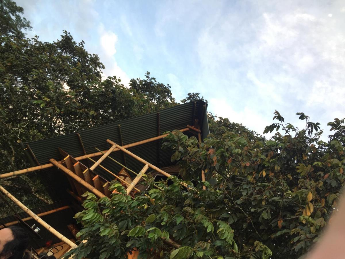 Glamping El Arbol En La Casa Villa San Antonio del Tequendama Bagian luar foto