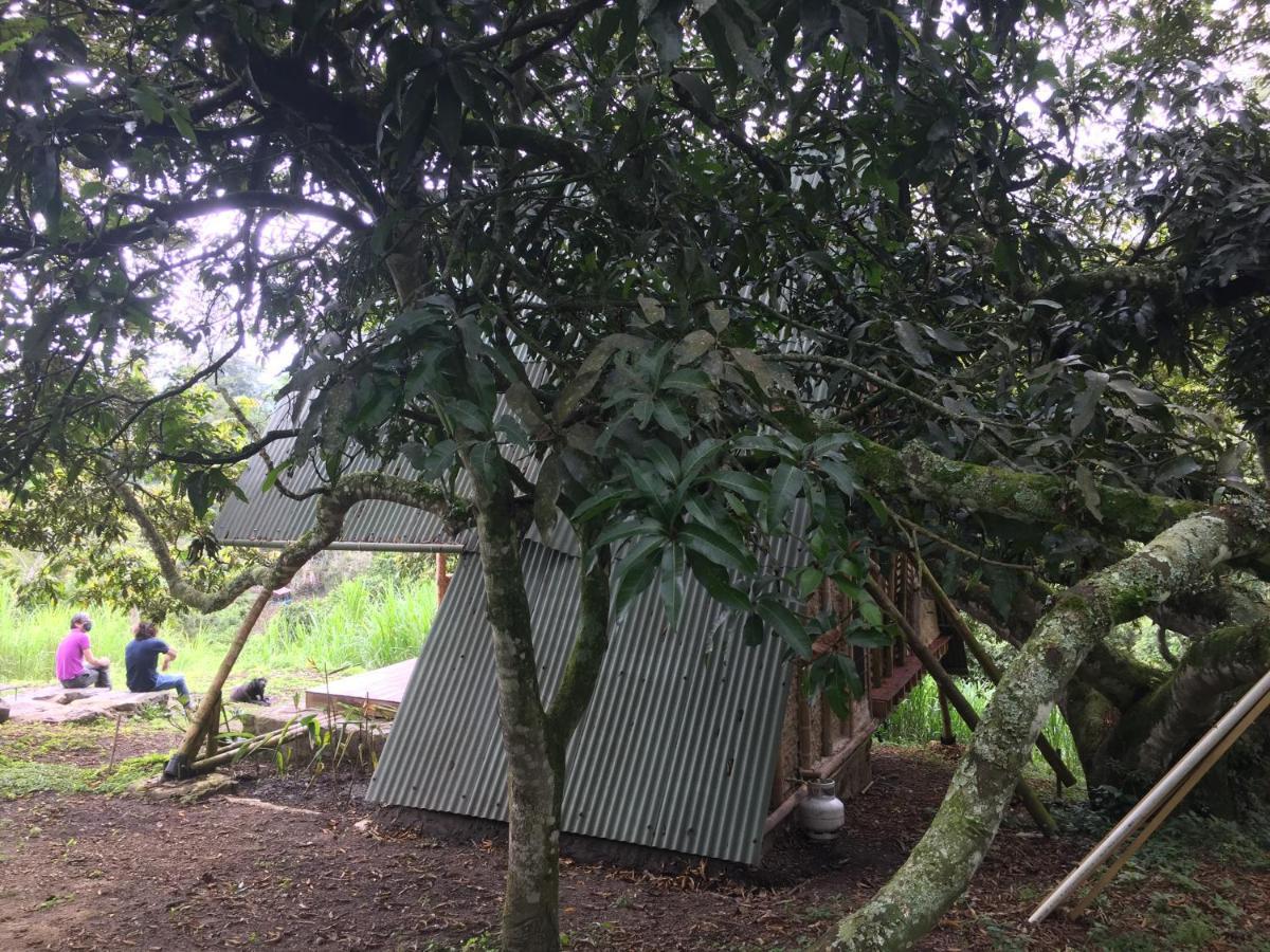 Glamping El Arbol En La Casa Villa San Antonio del Tequendama Bagian luar foto